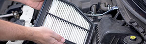 Cabin & Engine Filter